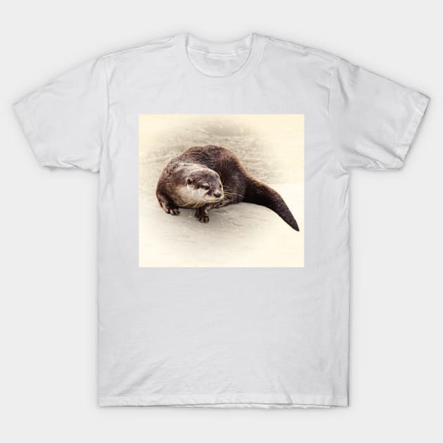 Otter T-Shirt by Guardi